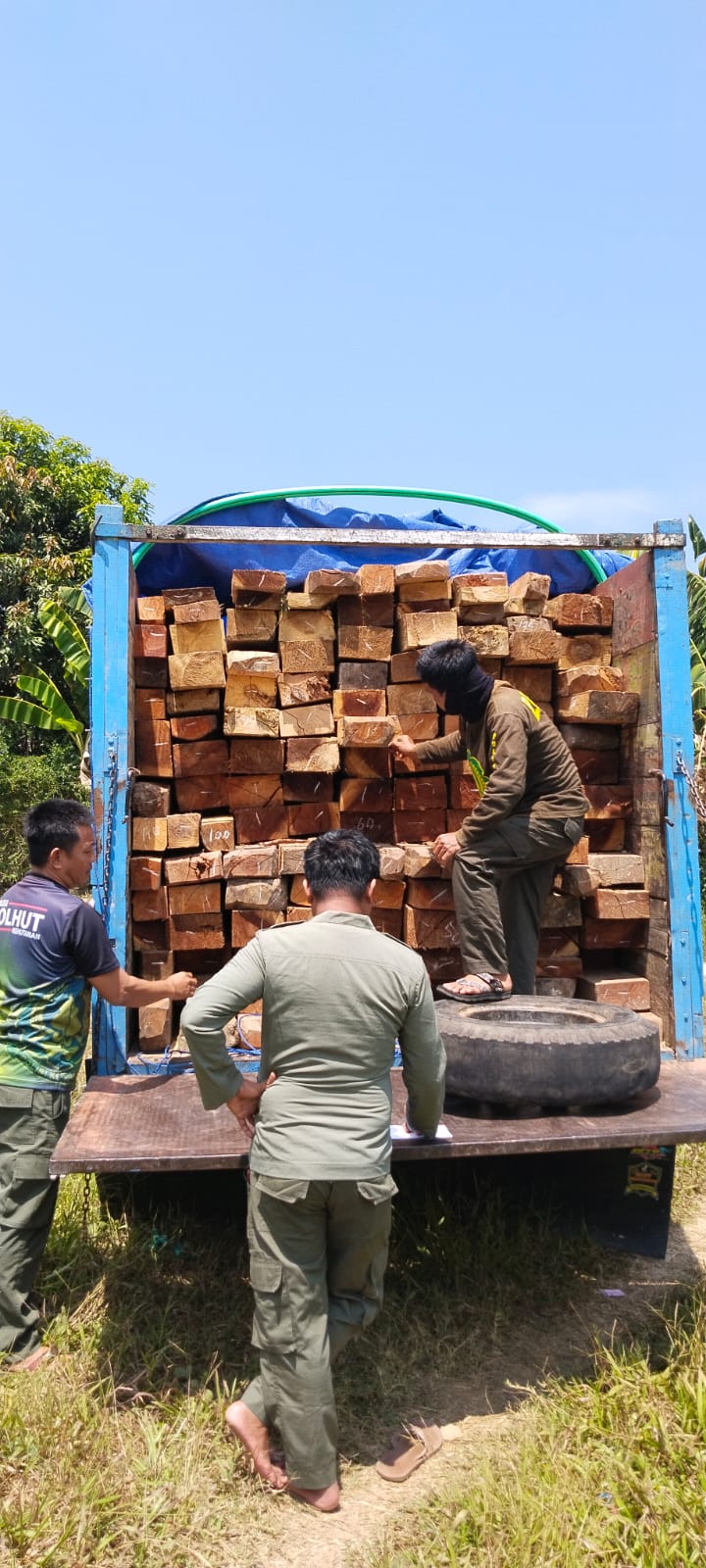 Polisi Kehutanan Dishut Sulbar  Kembali Menangkap Truk Bermuatan Kayu Tanpa Dokumen