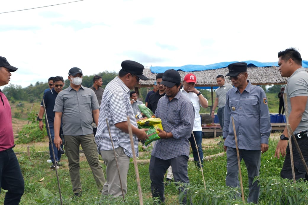 Kunjungi Perkebunan Induk Hortikultura Batupanga Polman, Pj Bahtiar Berjanji akan Kelola Maksimal