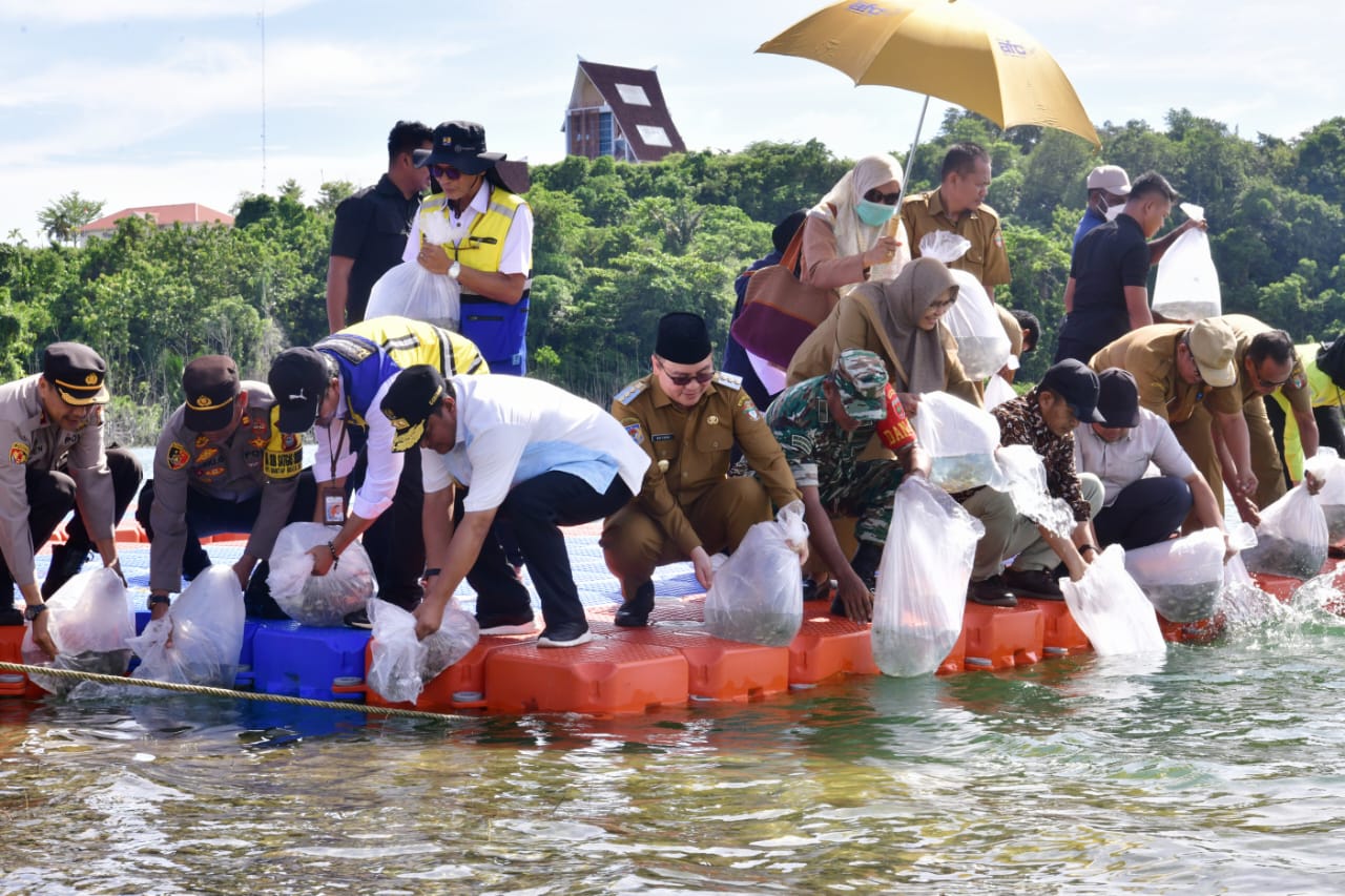 250 Ribu Benih Ditebar di Wajo, Pj Gubernur Sulsel Targetkan Jadi Pusat Ikan Air Tawar
