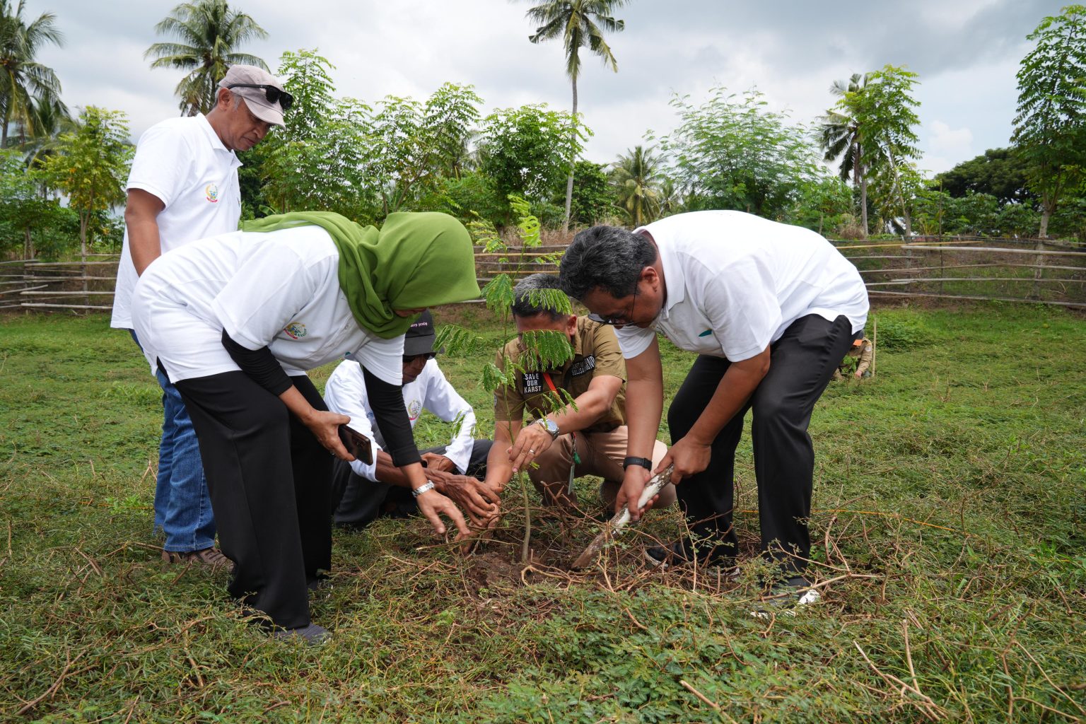 Dua Juta Pohon Ditanam di Sulsel pada Peringatan Hari Bumi