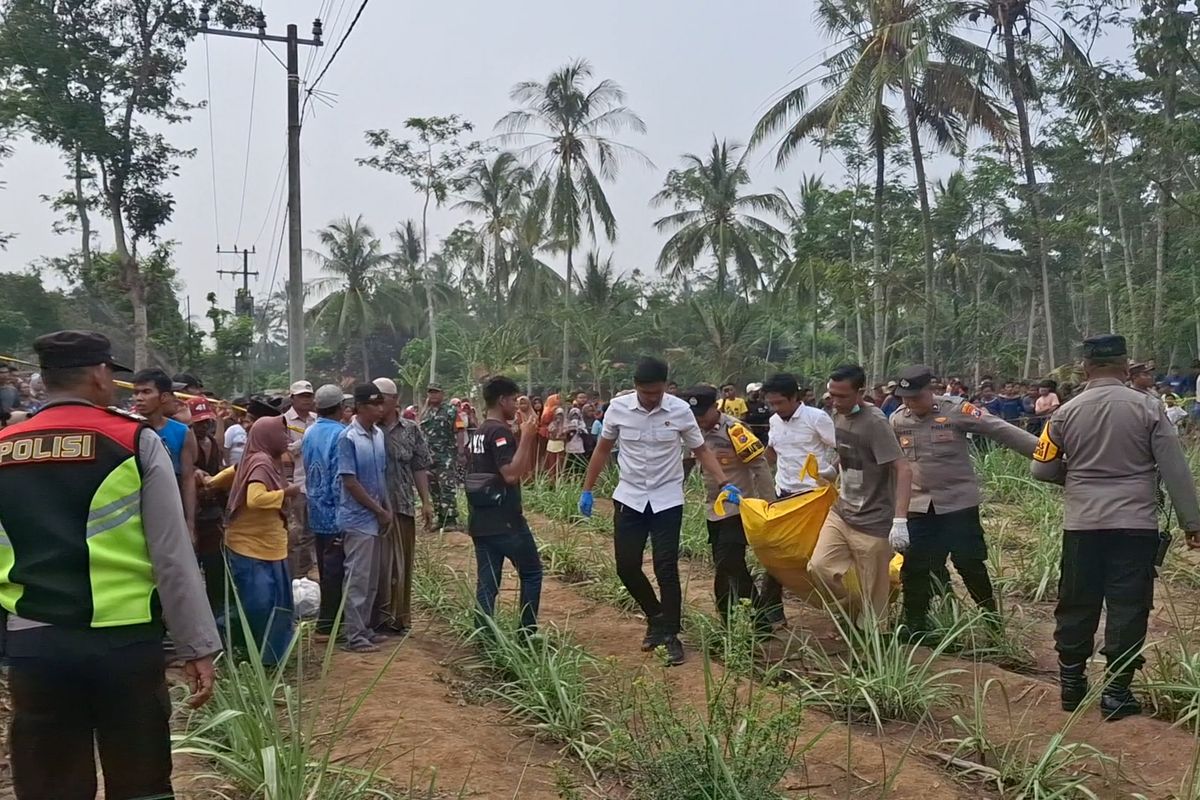 Gegara Serempetan Kendaraan, Pria di Lumajang Tewas Bersimbah Darah di Kebun Tebu