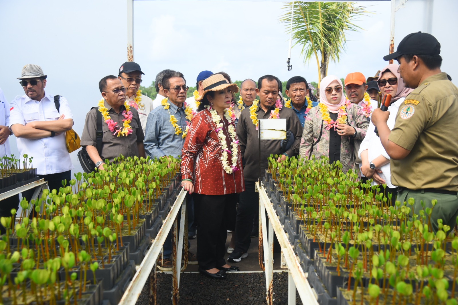 Bersama Ketua Komisi IV Titiek Soeharto, Agus Ambo Djiwa Tinjau Kawasan Mangrove Tahura Ngurah Rai Bali
