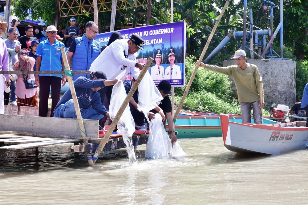 Lebih 1 Juta Benih Ikan Ditebar di Danau Tempe, Program Ketahanan Pangan Pj Gubernur Sulsel