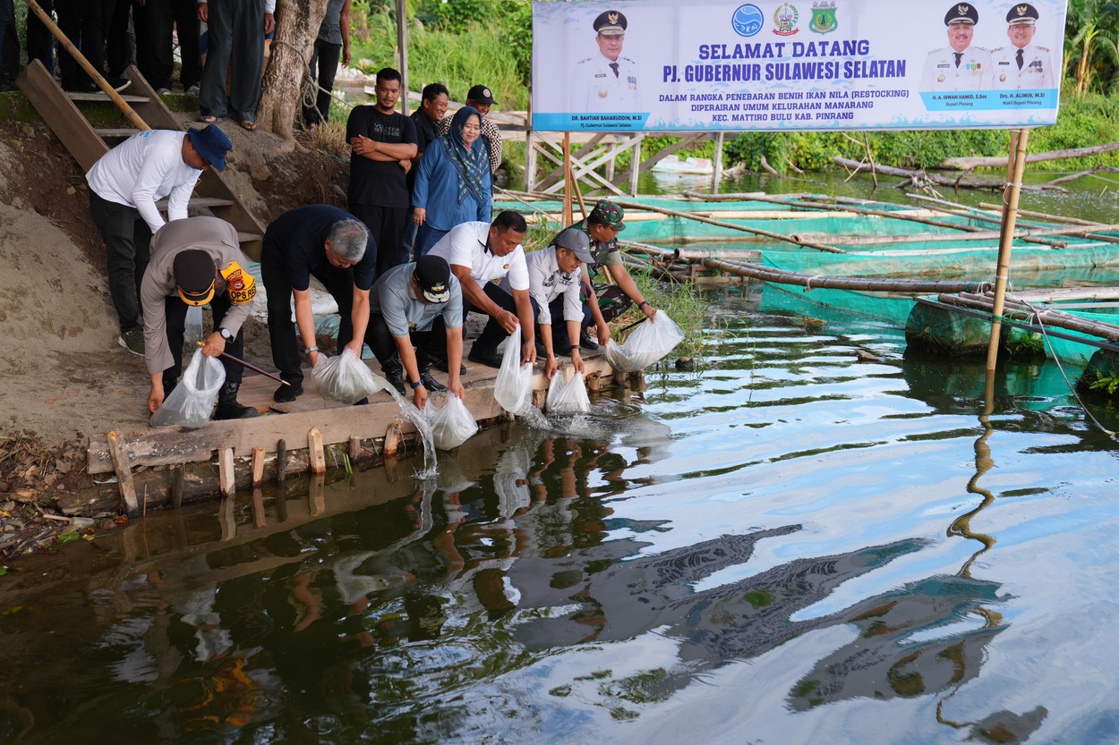 Kunjungi Bangsal Pasca Panen di Pinrang, Pj Gubernur Tebar Benih Ikan dan Inseminasi Buatan