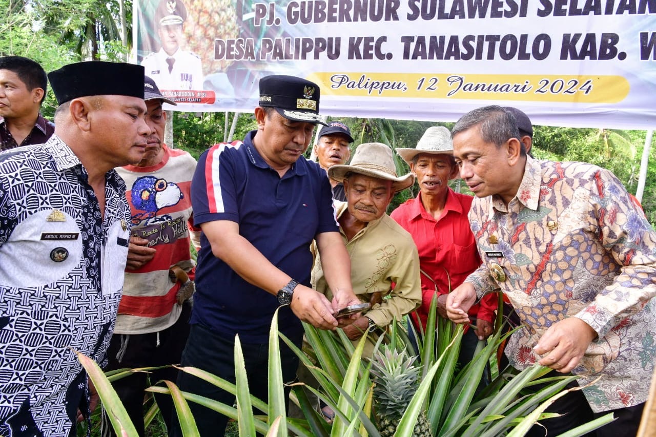 Pemprov Sulsel Beri Bantuan Bibit Nangka dan Nanas di Desa Mabbiring, Untuk Ditanam di Lahan Tidak Produktif