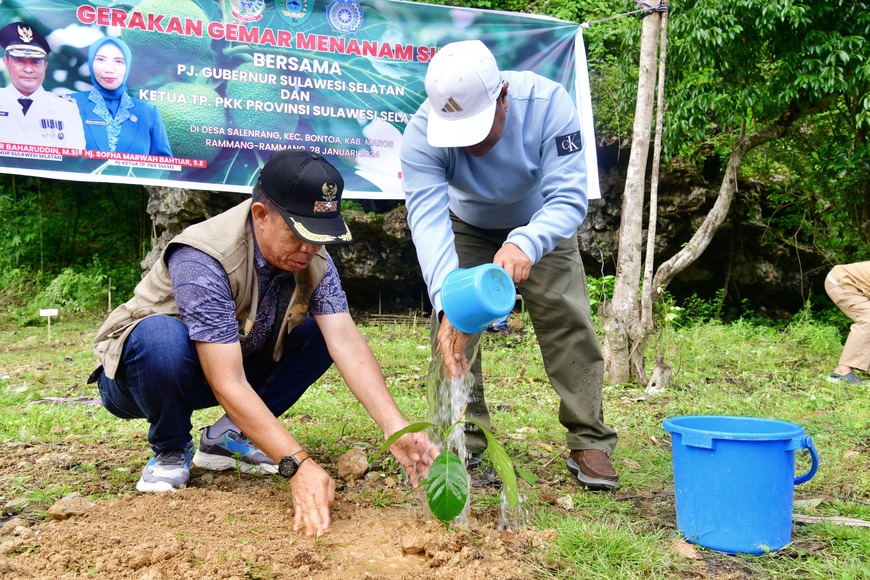 Komitmen Tingkatkan Daya Tarik Wisata, Pj Gubernur Sulsel Lakukan Penanaman Sukun di Rammang-rammang