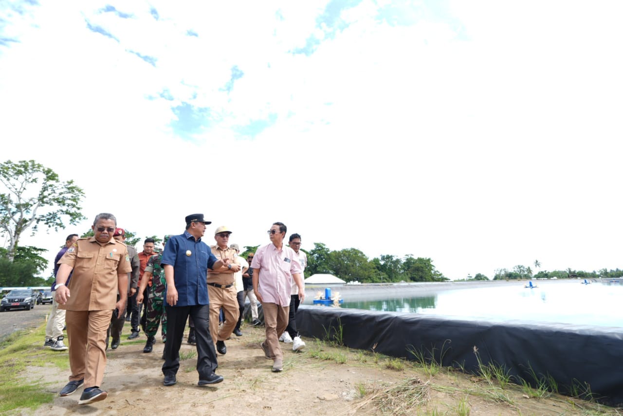 Kunjungi Tambak Udang di Pasangkayu, Pj Bahtiar Dorong Warga Menggeluti Usaha Perikanan
