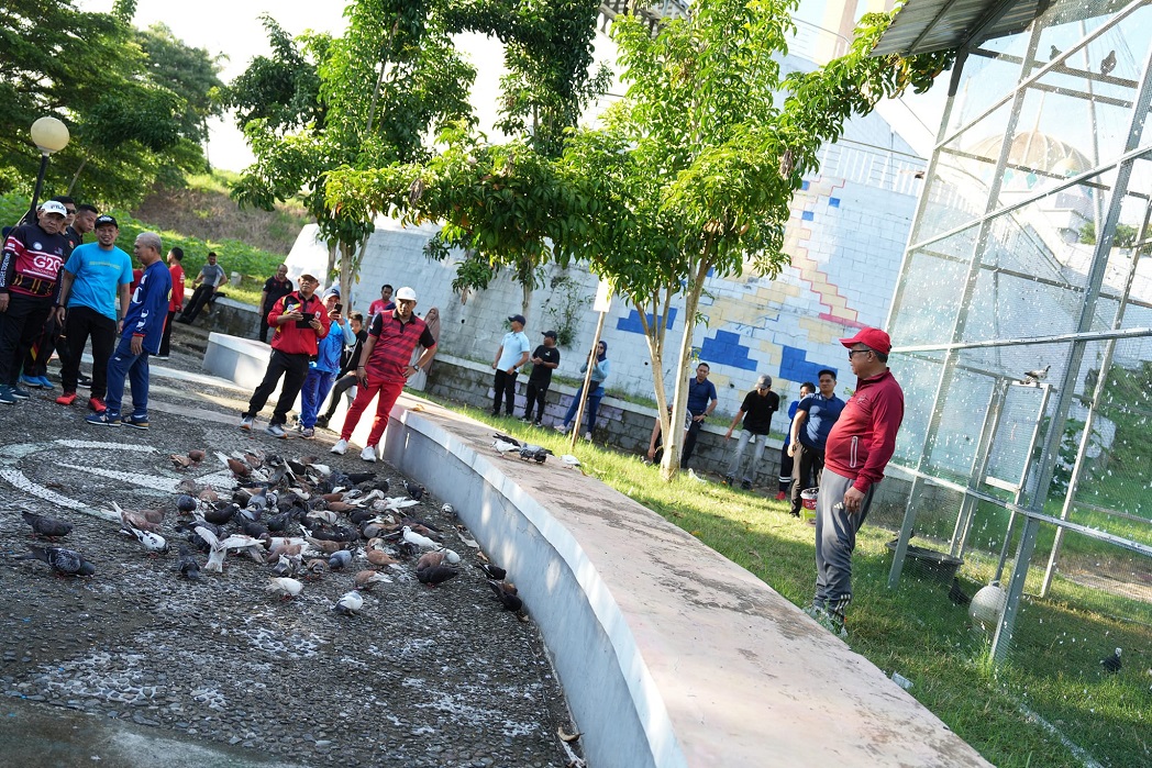 Dukung Keanekaragaman Hayati, Pemprov Sulbar Hadirkan Taman Burung Merpati 