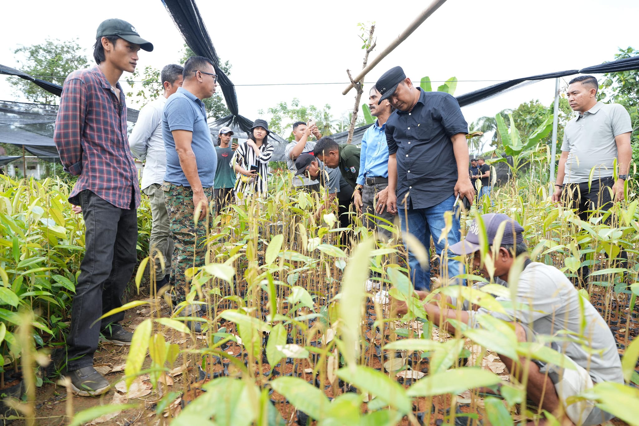 Ke Lokasi Pembibitan di Bulukumba, Pj Bahtiar Akan Membuka Pusat Pembibitan Hortikultura di Sulbar