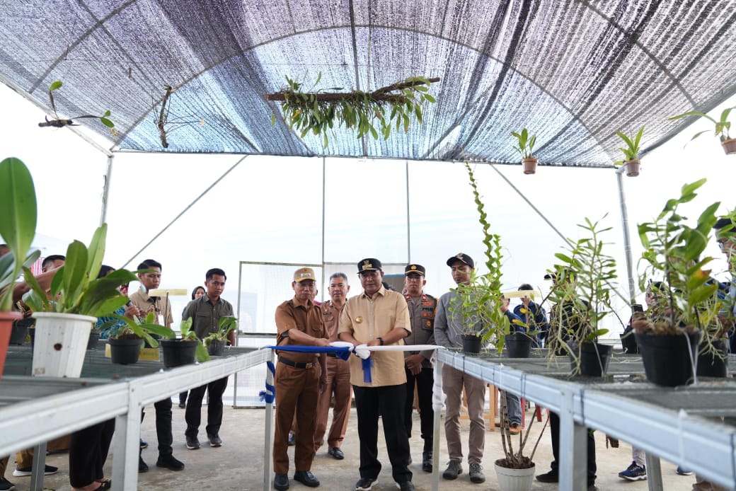Pemprov Sulbar Serius Dorong Mamasa Jadi Produsen Anggrek, Pakar IPB Ibaratkan Posisinya Seperti Thailand