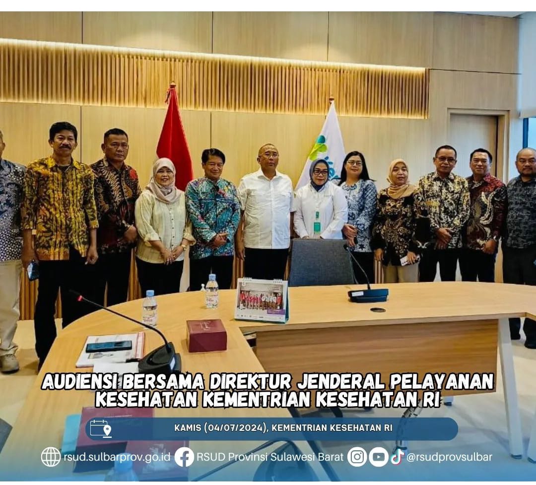 Direktur RSUD Sulbar Audiensi Bersama Dirjen Pelayanan Kesehatan Kemenkes
