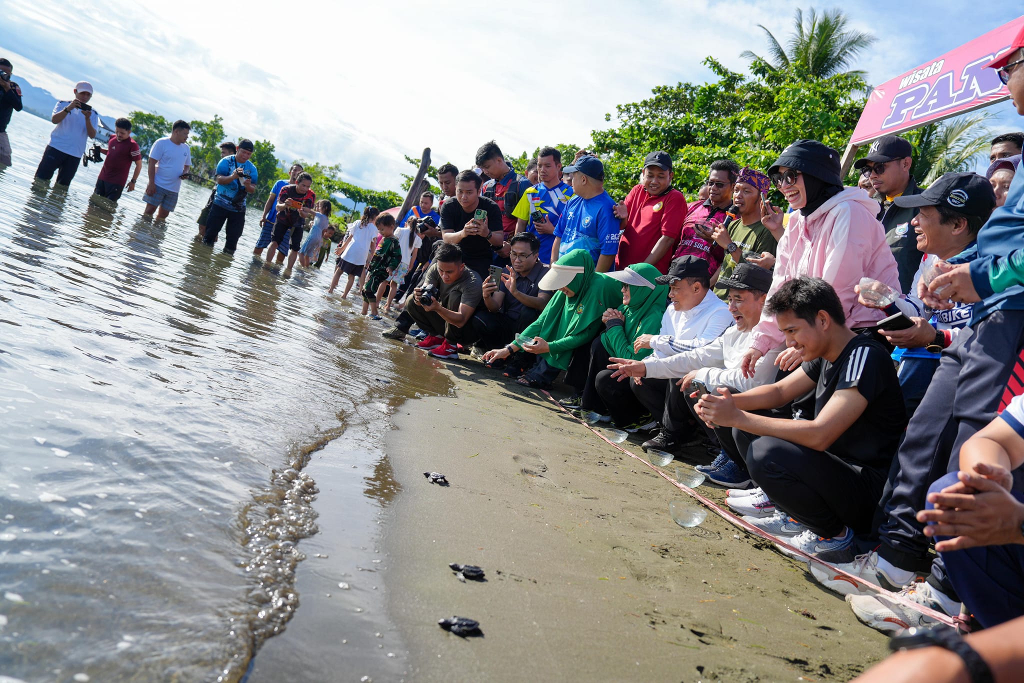 Gerakan Peduli Lingkungan dalam Rangka Hari Laut Sedunia, Pj Gubernur Bahtiar Lepas Tukik Penyu dan Karang Buatan 