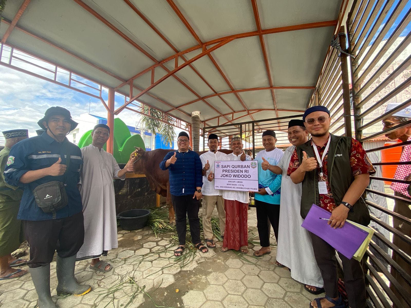 Bantuan Sapi Kurban Jokowi Tiba di Mateng, Berat 1 Ton Lebih dan Seharga Rp100 Juta