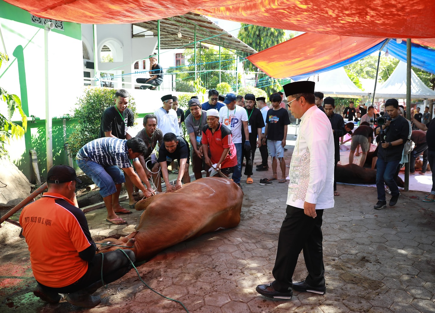 Danny Pomanto Berkurban Tiga Ekor Sapi di Masjid Nur Al Aqsha