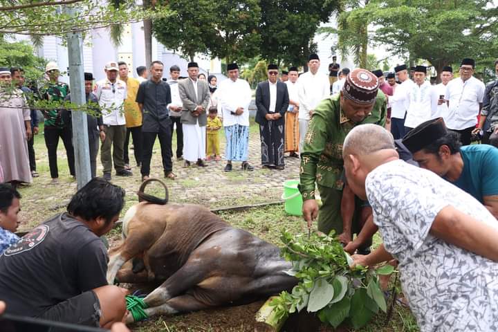 Pemprov Sulbar Sembelih 15 Ekor Sapi Kurban