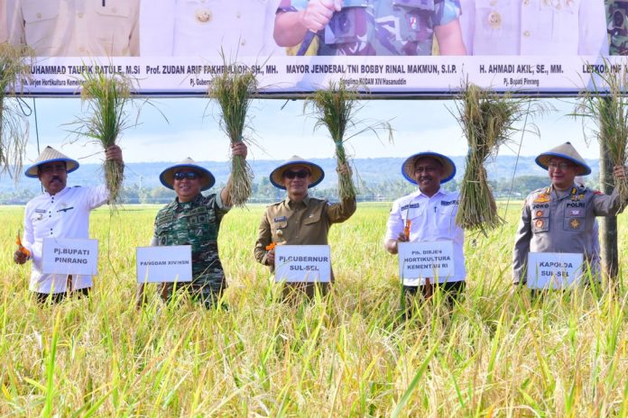 Sulsel Siap Jadi Pilot Project Pertanian Optimalisasi Lahan Rawa di Indonesia