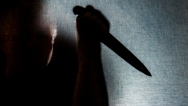 Tak Terima Anjingnya Dilempar Batu, Pria Pencari Pakan Kambing Tusuk Tetangganya