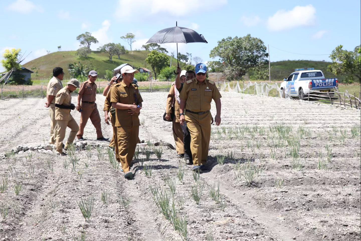 Jaga Kendali Inflasi, Plh Gubernur Sulbar Tinjau Perkebunan Bawang di Majene
