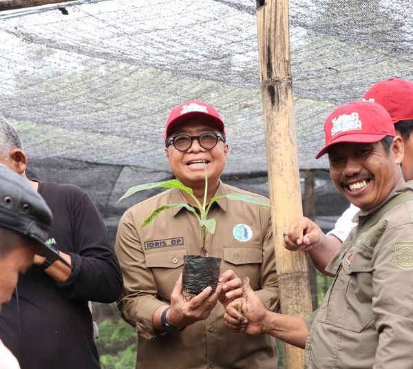 Genjot Pengembangan Pisang Cavendish dan Pisang Kepok, Sekprov Idris: Kita Komitmen Jadikan Sulbar Provinsi Hortikultura