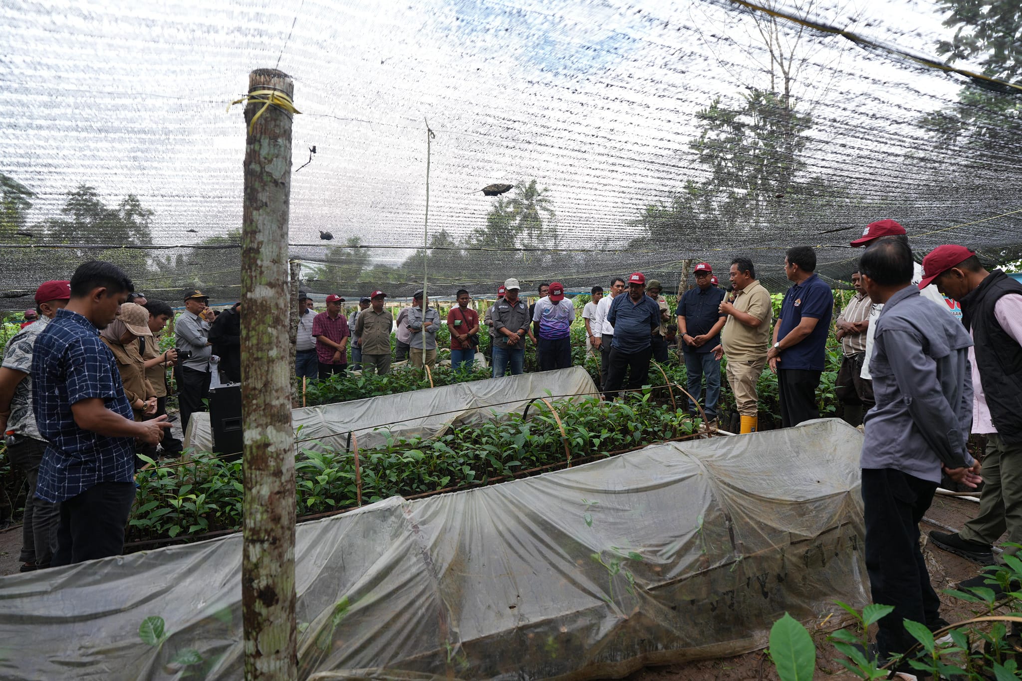 Hari Kedua di Bone, OPD Pemprov Sulbar Melihat Langsung Sentra Pembibitan Sukun  