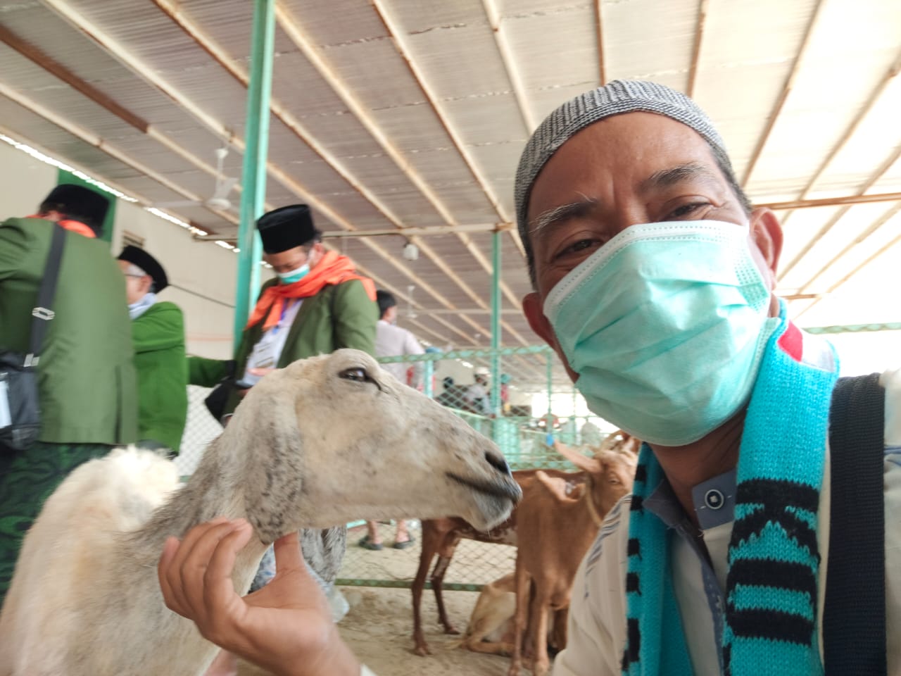 Pemotongan Kambing untuk Dam Difasilitasi Umi Lela, Warga Parepare yang Tinggal di Mekkah