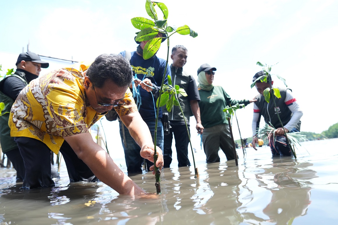 Peduli Lingkungan Hidupkan Wisata, Pengelola Wisata Mangrove Bebanga Ucapkan Terima Kasih kepada Pj Bahtiar