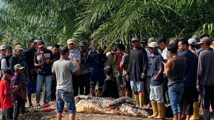 Ngeri! Hilang Saat Mancing Ikan, Pria 68 Tahun Ditemukan dalam Mulut Buaya