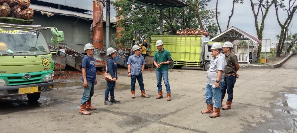 Plt Kadis Perkebunan Sulbar Pantau Penerapan Harga dan Proses Pengolahan TBS Kelapa Sawit di Pasangkayu 