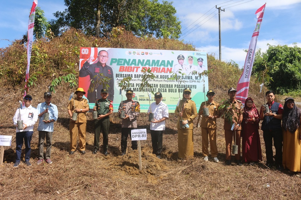 Serap Aspirasi Masyarakat Pasangkayu, Agus Ambo Djiwa Sekaligus Hadiri Penanaman Bibit Durian Musang King di Desa Bulubonggu