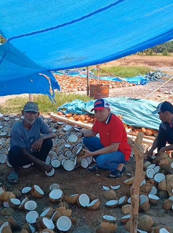 Beri Atensi Pengembangan Kelapa Dalam di Pasangkayu, Agus Ambo Djiwa Siapkan Bantuan Bibit 100 Hektare