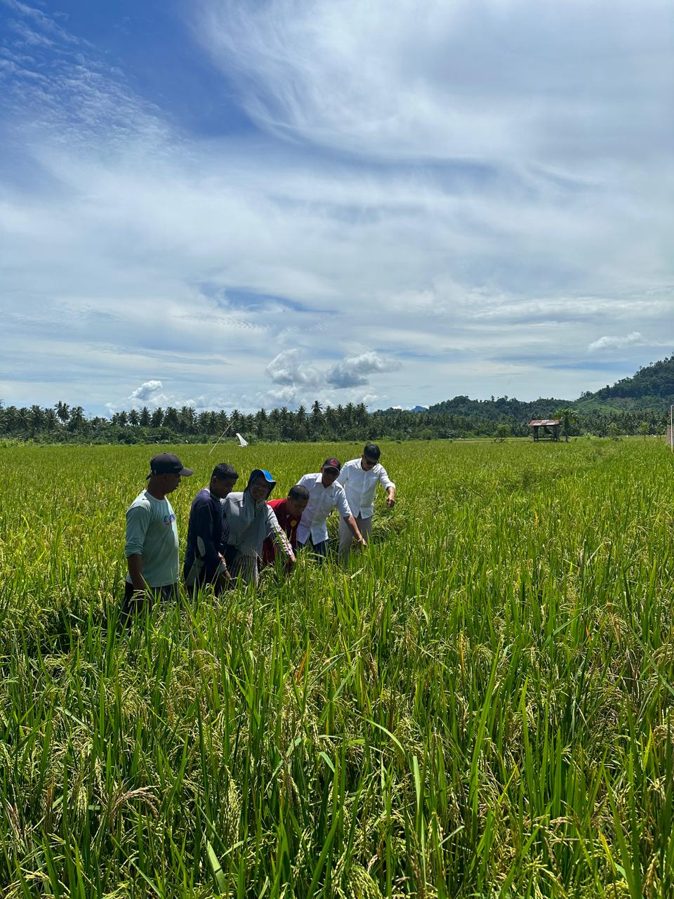 Reses di Desa Pangiang, Agus Ambo Djiwa Tinjau Kesiapan Kelompok Tani Penerima Bantuan Alsintan Tahun 2025