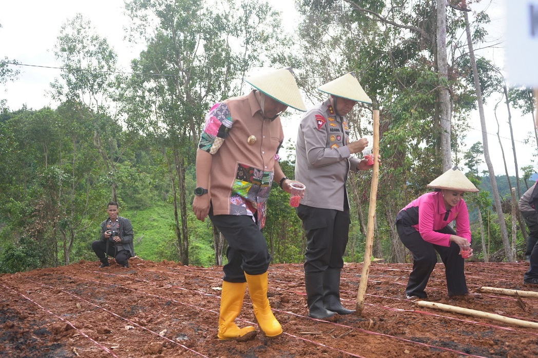 Hadiri Penanaman Jagung, Cabai, Bawang dan Kopi di Botteng, Pj Bahtiar: Jika Miliki Pangan yang Kuat Negara akan Berdaulat