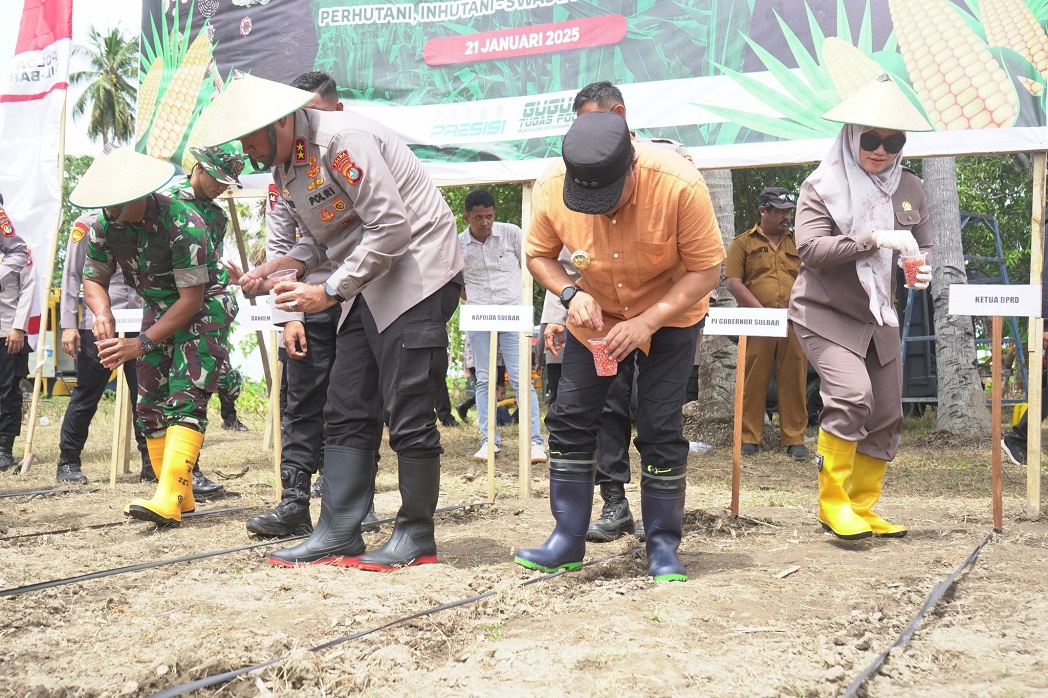 Dukung Swasembada Pangan, Pj Gubernur Bersama Kapolda dan Ketua DPRD Sulbar Ikuti Penanaman Jagung Serentak 1 Juta Hektare