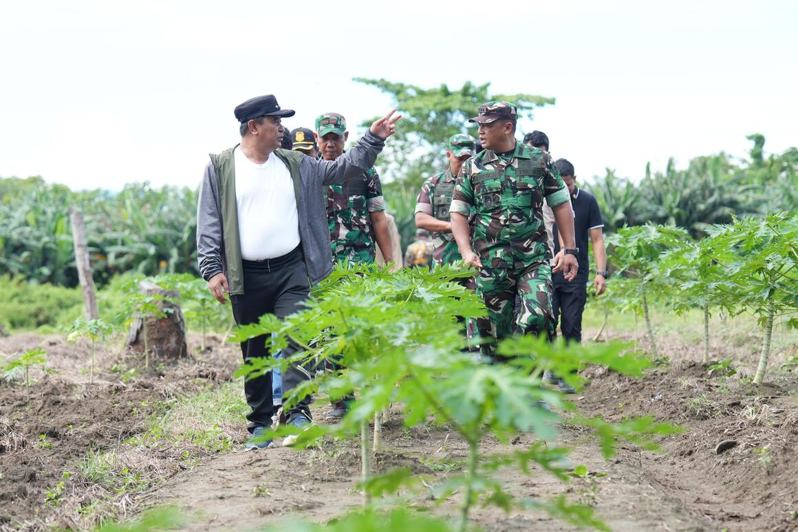Akan Dijadikan Tempat Edukasi Ketahanan Pangan, Pj Bahtiar Tinjau Kondisi Perkebunan di Beru-beru