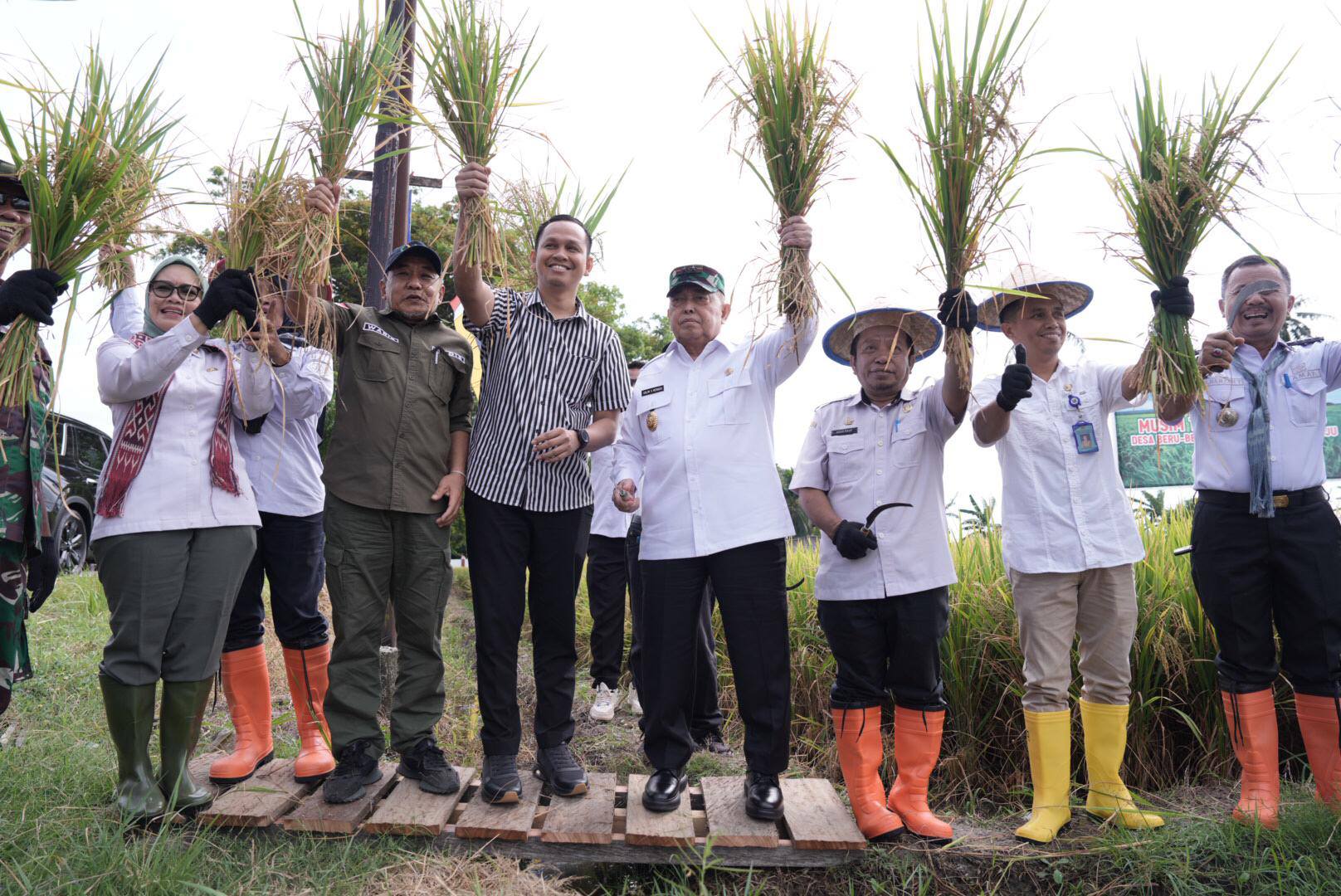 Hadiri Pesta Panen Padi di Desa Beru-beru, Wagub Sulbar Minta Lahan Sawit Dialihkan ke Sawah