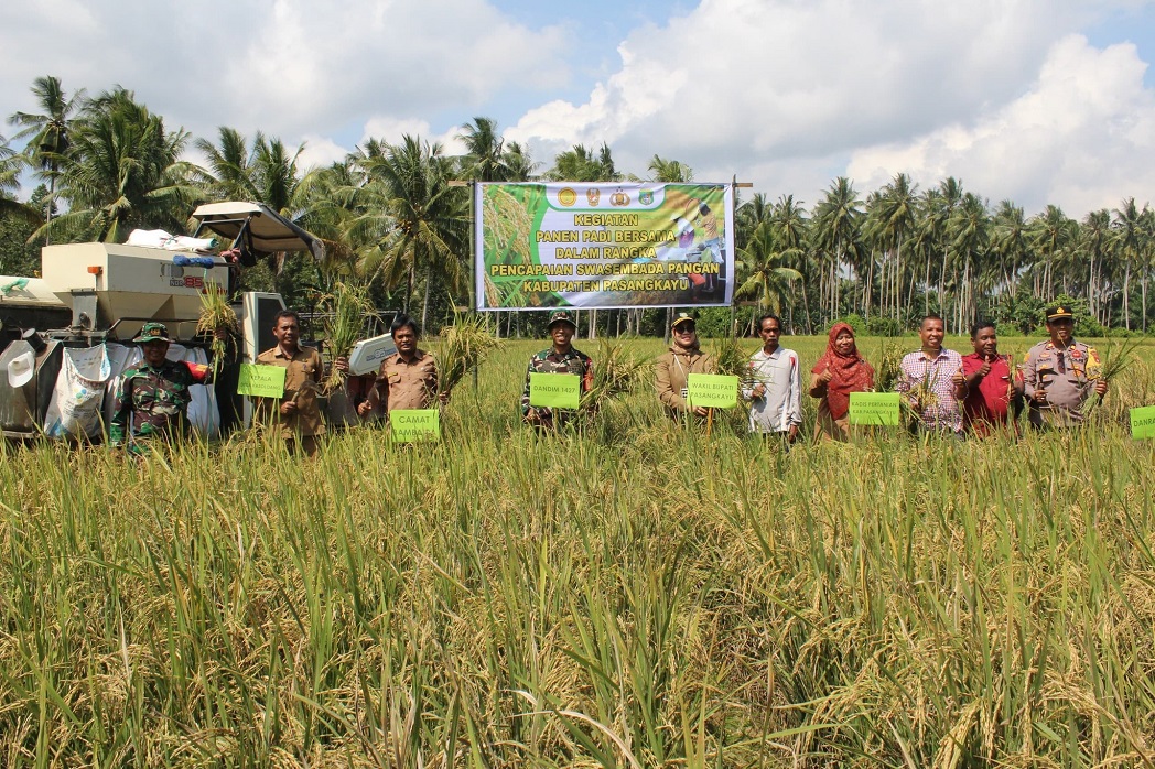 Hadiri Panen Raya Binaan Babinsa Koramil di Desa Kasoloang, Wabup Pasangkayu: Jadikan Momen Peningkatan Kesejahteraan Petani dan Ketahanan Pangan