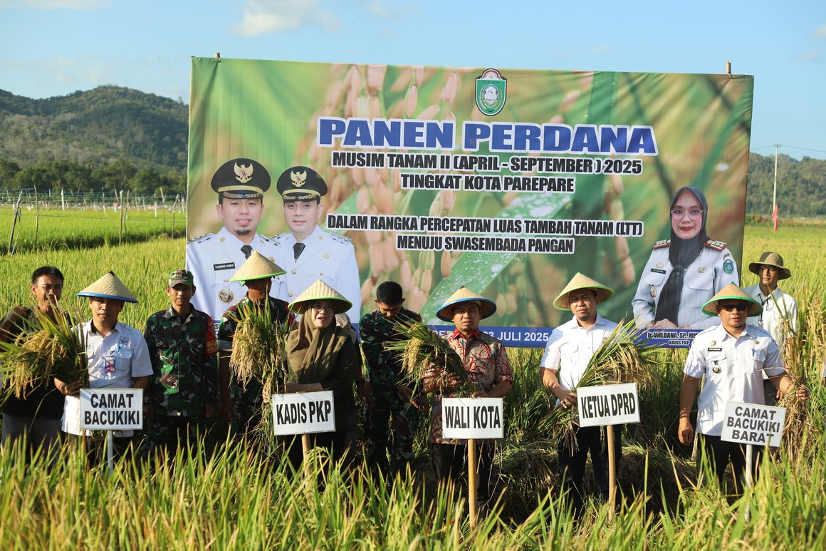 Wali Kota Tasming Hamid Pimpin Panen Perdana Benih Padi, Dorong Parepare Jadi Sentra Penghasil Benih