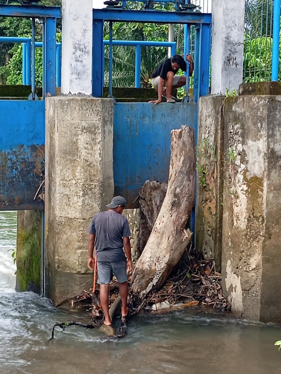 Respons Cepat dan Kolaboratif, Gangguan Irigasi di Bendung Bantalaka Pasangkayu Selesai Ditangani