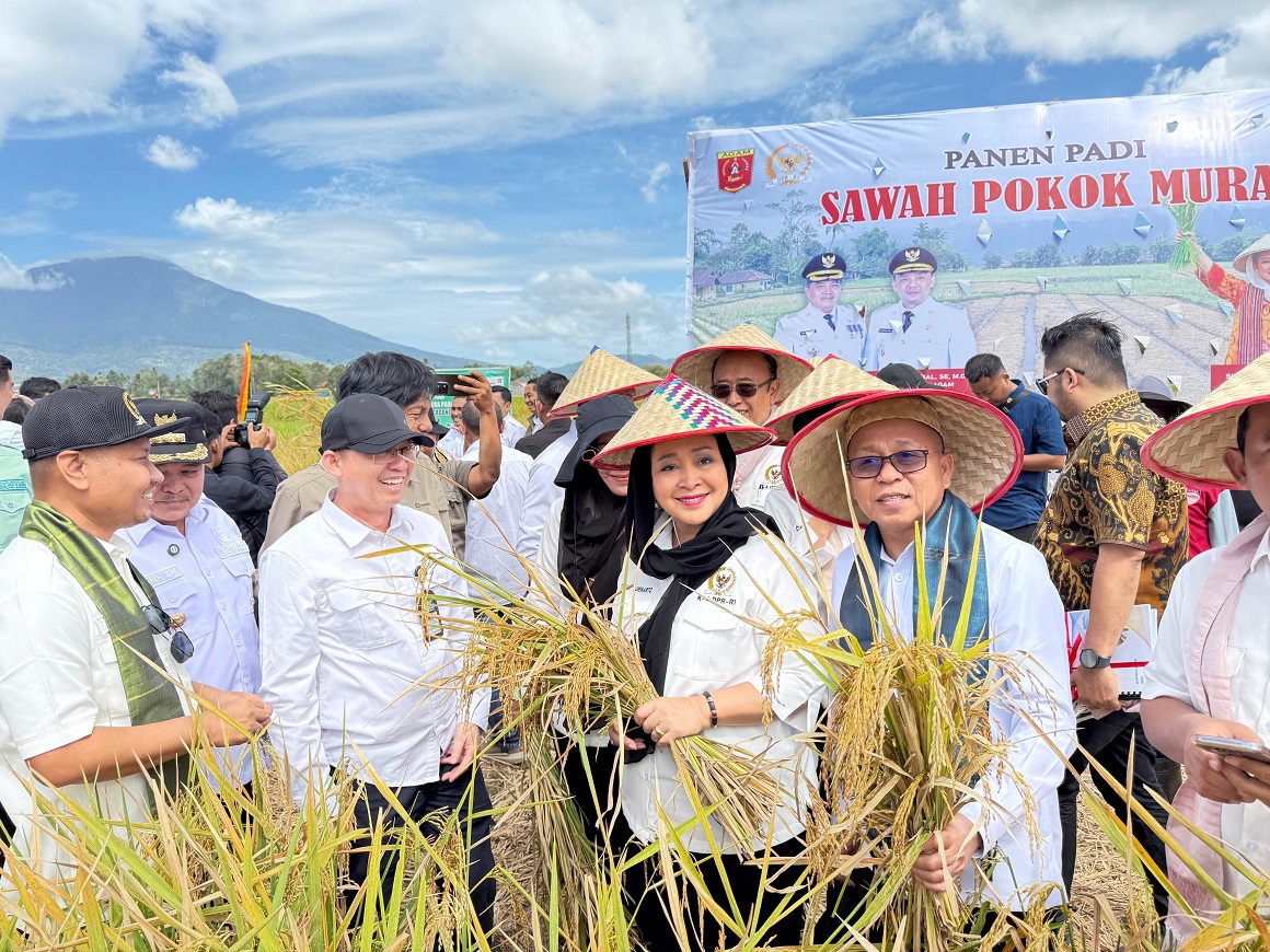 Agus Ambo Djiwa Bersama Komisi IV Panen Raya Padi Tanpa Pupuk di Agam Sumbar