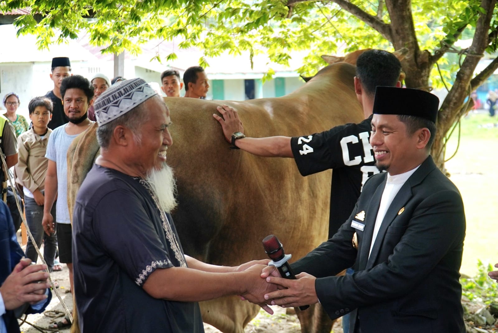 Usai Salat Iduladha Bersama Masyarakat,Wali Kota Tasming Hamid Serahkan Sapi Kurban Bantuan Presiden Prabowo