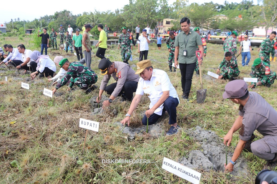 Bupati Pasangkayu Bersama Forkopimda Lakukan Penanaman 1.000 Pohon Mangrove di Anjungan Maleo