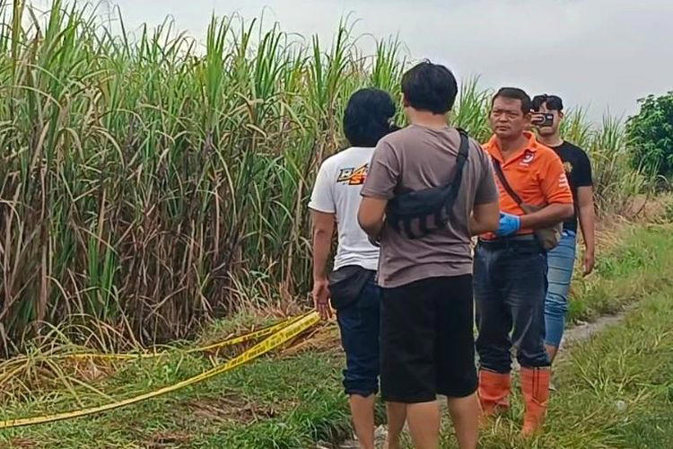 Janda Satu Anak Ditemukan Tewas Penuh Luka di Kebun Tebu, Sempat Dijemput Pria Bermotor Suzuki Satria