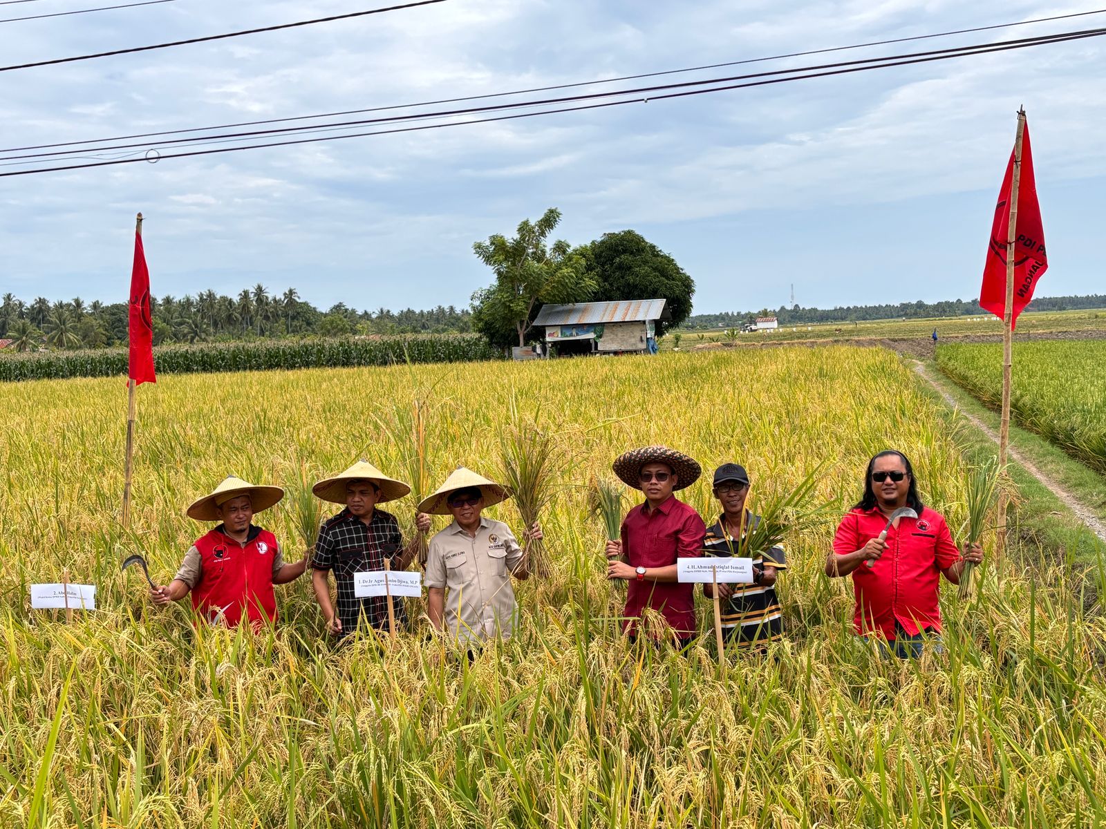 Anggota DPR Agus Ambo Djiwa Serap Aspirasi Petani di Desa Beru-beru Mamuju, Ada Permintaan Benih, Pupuk hingga Pengairan