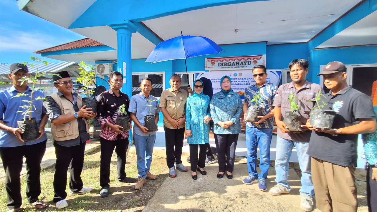 Distapang Sulbar Salurkan Bantuan Bibit Cabai hingga Tomat pada 4 Kelurahan di Mamuju