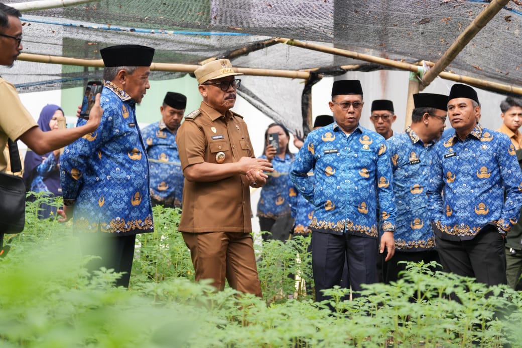 Tinjau Pembibitan Komoditas Pangan Dinas Ketapang, Gubernur Sulbar Sebut Langkah Pengendalian Inflasi