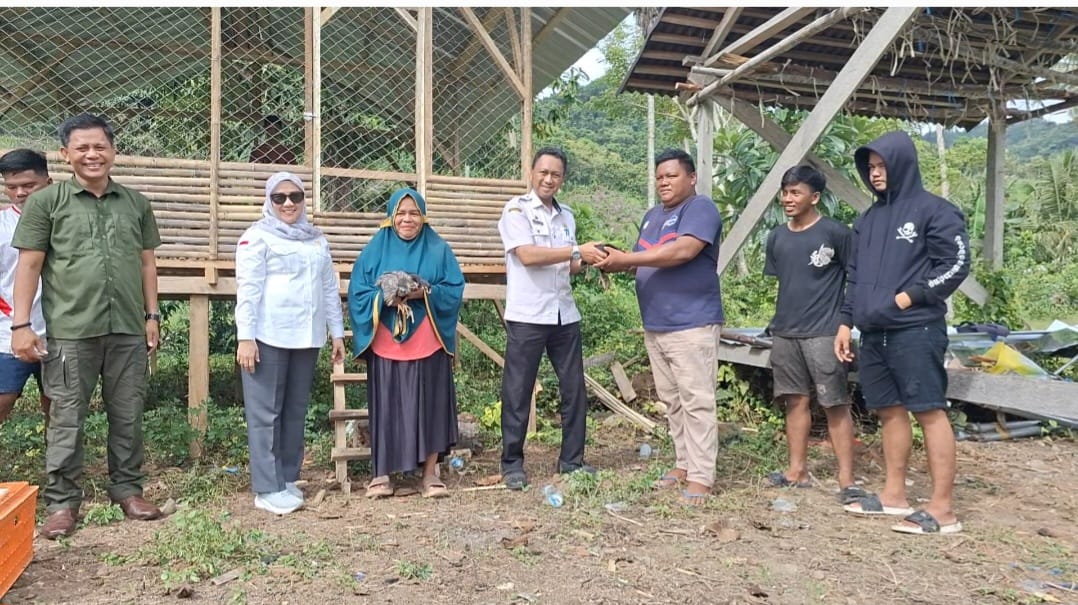 1.000 Ekor Ayam KUB dan Sarana Pendukung Tersalur di Desa Lebani Mamuju