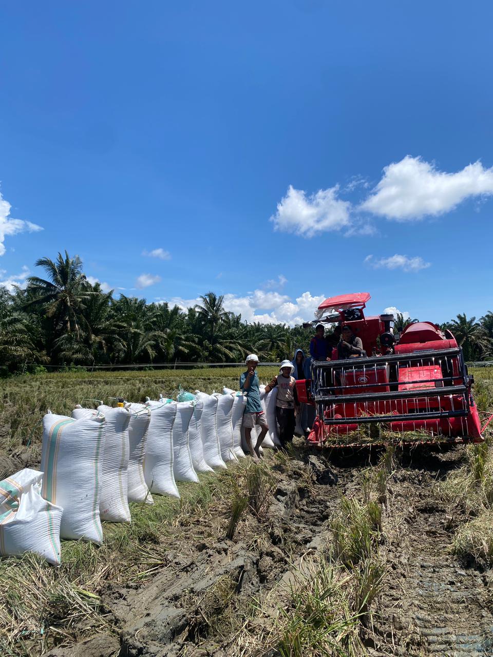 Dapat Bantuan Mesin Pemotong Padi dari Aspirasi Agus Ambo Djiwa, Kini Kelompok Tani Mamminasae Sarudu Bisa Memanen Lebih Cepat