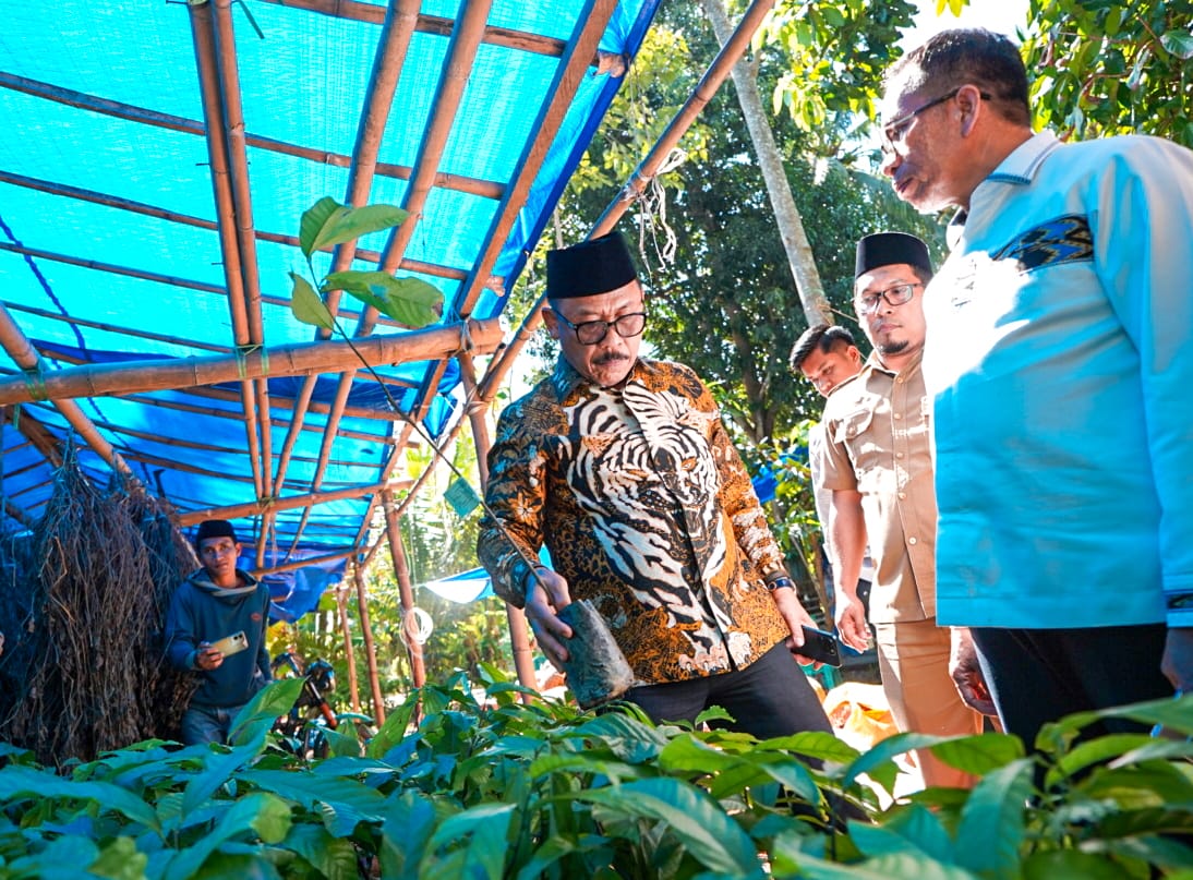 Tilik Langsung Gubernur Suhardi Duka ke Petani Polman, Pastikan Bantuan Kambing dan Kakao Tepat Sasaran dan Berkualitas