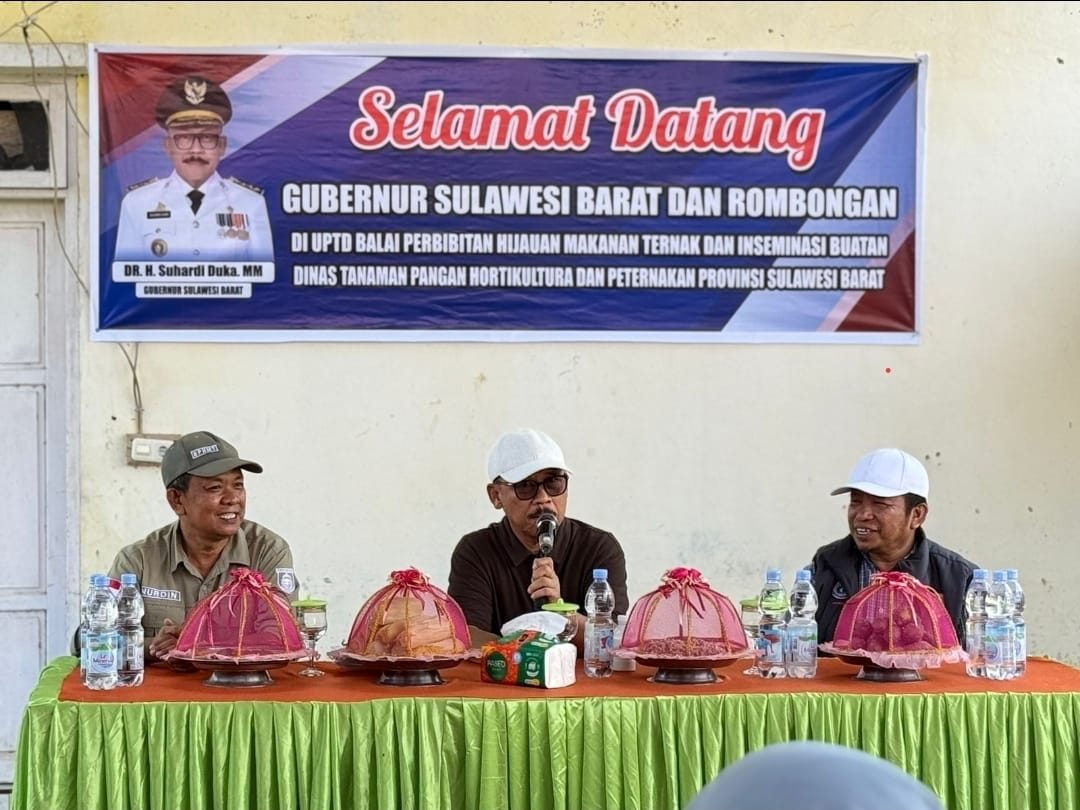 Didampingi Dinas TPHP, Gubernur Sulbar Pantau Langsung Potensi PAD dari Ternak Kambing