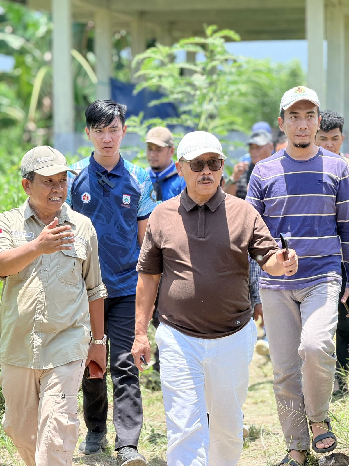 1.928 Ekor Sapi Hasil IB Lahir Sepanjang Tahun 2025 di Sulbar